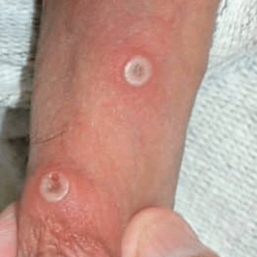 Bild_2025-11-26_162405250