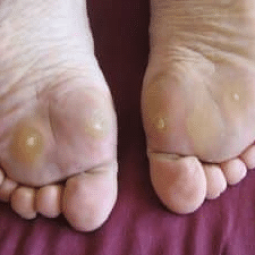 Bild_2025-11-26_164856935