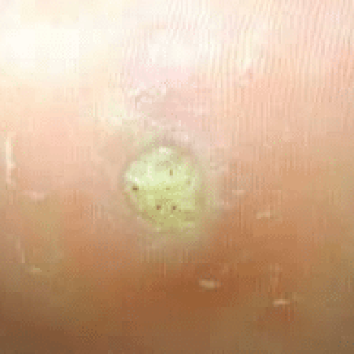 Bild_2025-11-26_164923349