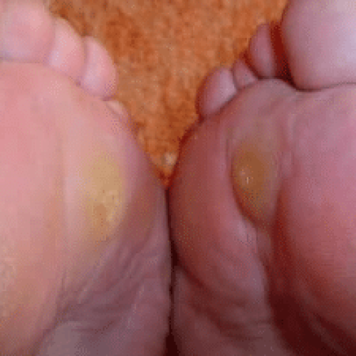 Bild_2025-11-26_164951004